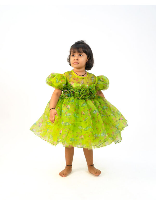 Whispering Wings Dress Lilglam-1